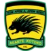Asante Kotoko-logo