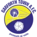Гарфорт Таун