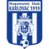 Karlovac 1919-logo
