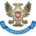 ST Johnstone-logo