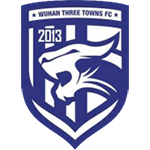 Wuhan Three Towns-logo