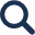 search icon